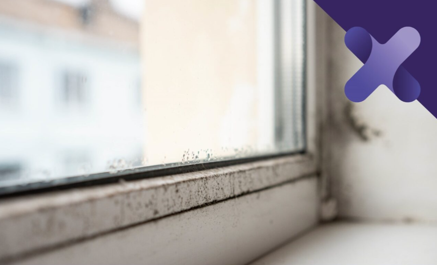 Learning from a tragedy: Awaab’s Law – the most significant landmark reform in over a decade