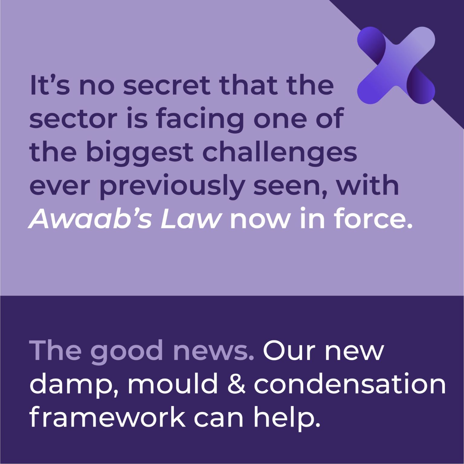 Combatting Damp & Mould: A New Framework for Safer, Healthier Homes